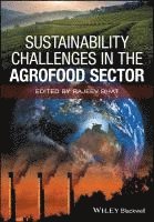 Rajeev Bhat - Sustainability Challenges in the Agrofood Sector, Inbunden