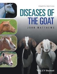 bokomslag Diseases of The Goat