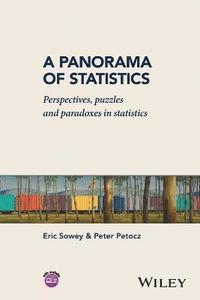 bokomslag A Panorama of Statistics