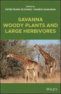 bokomslag Savanna Woody Plants and Large Herbivores