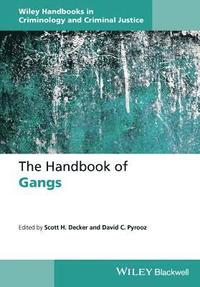 bokomslag The Handbook of Gangs