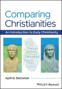 bokomslag Comparing Christianities