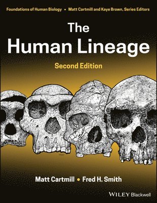 The Human Lineage 1