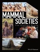 bokomslag Mammal Societies