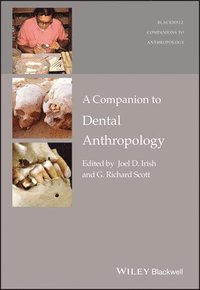 bokomslag A Companion to Dental Anthropology