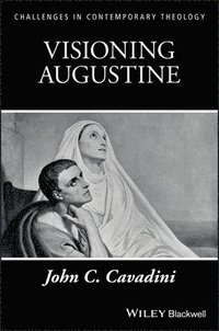 bokomslag Visioning Augustine