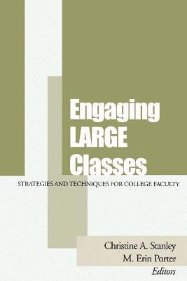 Stanley, Christine A. Stanley, M. Erin Porter - Engaging Large Classes, Häftad