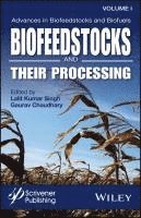 bokomslag Advances in Biofeedstocks and Biofuels, Biofeedstocks and Their Processing