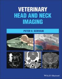 bokomslag Veterinary Head and Neck Imaging