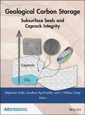 Stéphanie Vialle, Jonathan Ajo-Franklin, J. William Carey, Australia) Vialle, Stephanie (Curtin University, USA) Ajo-Franklin, Jonathan (Lawrence Berkeley National Laboratory, USA) Carey, J. William (Los Alamos National Laboratory, J William Carey - Geological Carbon Storage, Inbunden