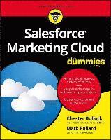 bokomslag Salesforce Marketing Cloud For Dummies