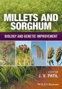 bokomslag Millets and Sorghum