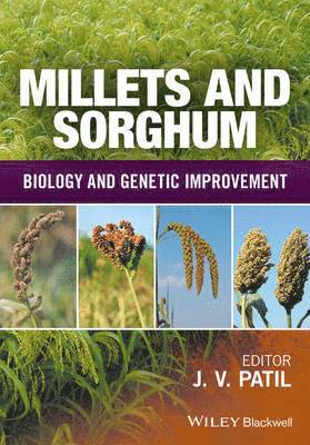 Millets and Sorghum 1