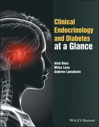 bokomslag Clinical Endocrinology and Diabetes at a Glance
