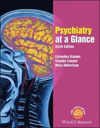 bokomslag Psychiatry at a Glance