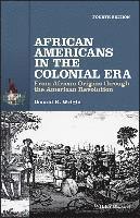 bokomslag African Americans in the Colonial Era