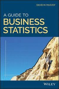 bokomslag A Guide to Business Statistics