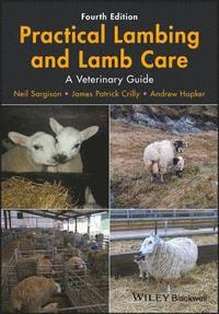 bokomslag Practical Lambing and Lamb Care