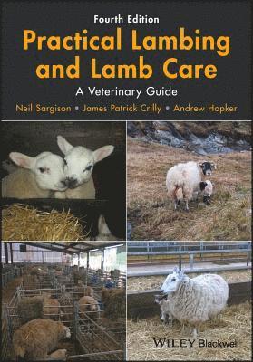 Practical Lambing and Lamb Care 1