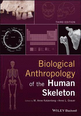 M. Anne Katzenberg, M. Anne Katzenberg, Anne L. Grauer - Biological Anthropology of the Human Skeleton, Inbunden