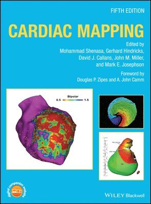 Mohammad Shenasa, Gerhard Hindricks, David J. Callans, John M. Miller, Mark E. Josephson - Cardiac Mapping, Inbunden