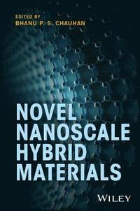 bokomslag Novel Nanoscale Hybrid Materials