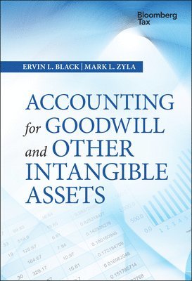 Ervin L. Black, Mark L. Zyla - Accounting for Goodwill and Other Intangible Assets, Inbunden
