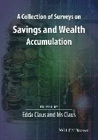 bokomslag A Collection of Surveys on Savings and Wealth Accumulation