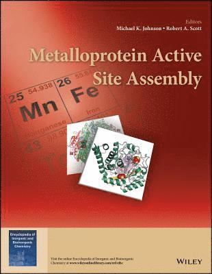 Metalloprotein Active Site Assembly 1