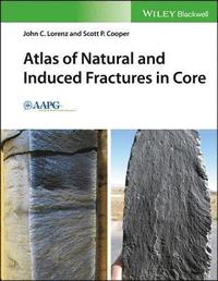 bokomslag Atlas of Natural and Induced Fractures in Core