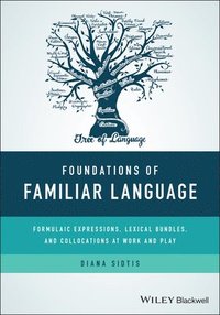 bokomslag Foundations of Familiar Language