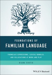 bokomslag Foundations of Familiar Language