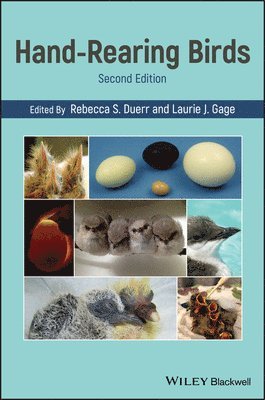 Rebecca S. Duerr, Rebecca S. Duerr, Laurie J. Gage, Rebecca S Duerr, Laurie J Gage - Hand-Rearing Birds, Inbunden