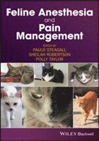 bokomslag Feline Anesthesia and Pain Management