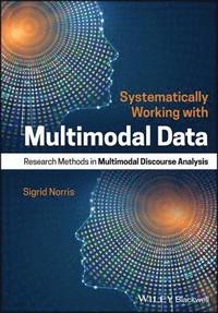 bokomslag Systematically Working with Multimodal Data
