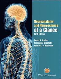 bokomslag Neuroanatomy and Neuroscience at a Glance
