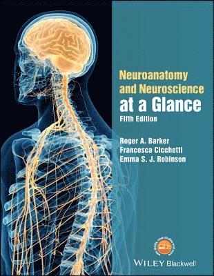Neuroanatomy and Neuroscience at a Glance 1