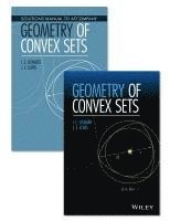 bokomslag Geometry of Convex Sets Set