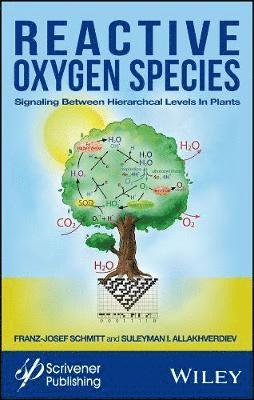 Franz-Josef Schmitt, Suleyman I. Allakhverdiev - Reactive Oxygen Species, Inbunden