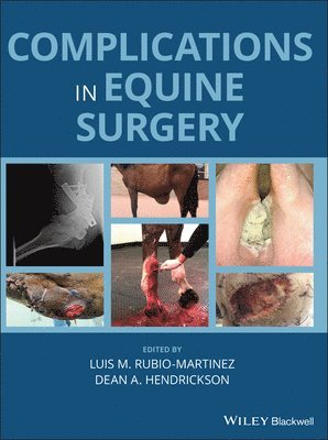 Luis M. Rubio-Martinez, Dean A. Hendrickson, Dean A. (Colorado State University) Hendrickson, Luis M Rubio-Martinez, Dean A Hendrickson - Complications in Equine Surgery, Inbunden
