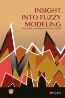Vilém Novák, Irina Perfilieva, Antonín Dvorák - Insight into Fuzzy Modeling, Inbunden