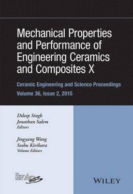 Dileep Singh, Jonathan Salem - Mechanical Properties and Performance of Engineering Ceramics and Composites X, Inbunden