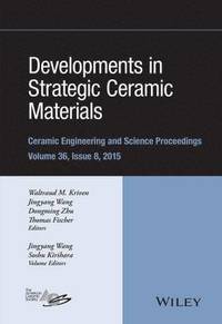 bokomslag Developments in Strategic Ceramic Materials