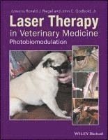 bokomslag Laser Therapy in Veterinary Medicine