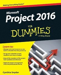 bokomslag Project 2016 For Dummies