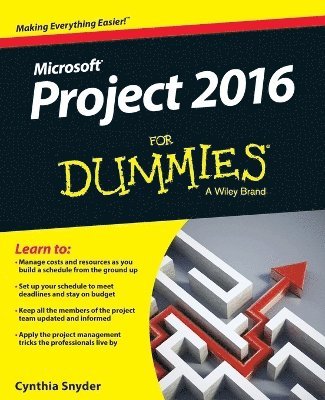 Cynthia Snyder Dionisio - Project 2016 For Dummies, Häftad