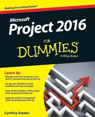 Project 2016 For Dummies 1