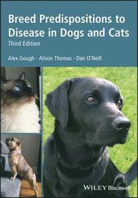 bokomslag Breed Predispositions to Disease in Dogs and Cats