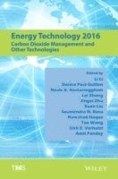 bokomslag Energy Technology 2016: Carbon Dioxide Management and Other Technologies