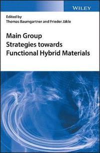 bokomslag Main Group Strategies towards Functional Hybrid Materials